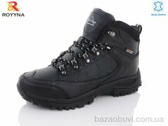 ROYYNA 072CB-6-43, 28.00, 8, 41-46