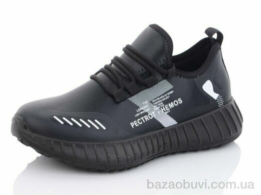 Nasite 0351, 250.00, 8, 36-41