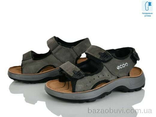 KIMBOO T61-2L, 580.00, 8, 27-31