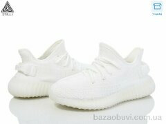 STILLI Group 999-2, 760.00, 8, 36-41