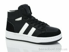 L.B. L1036-3, 600.00, 8, 36-41