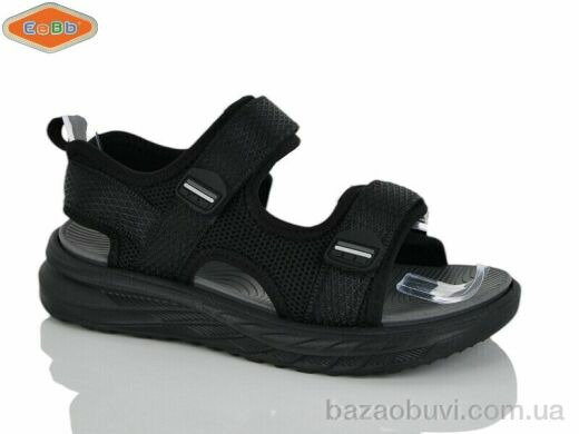 EeBb 1662-1, 380.00, 8, 31-36