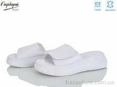 Dageni F223-2, 700.00, 8, 36-41