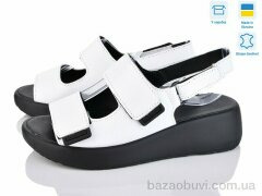 A.N.I.One 4077-25, 720.00, 6, 36-40