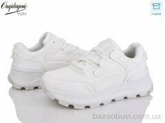 Dageni M6618-2, 550.00, 8, 37-41