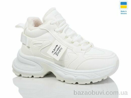 Swin 2804-3, 490.00, 8, 36-41